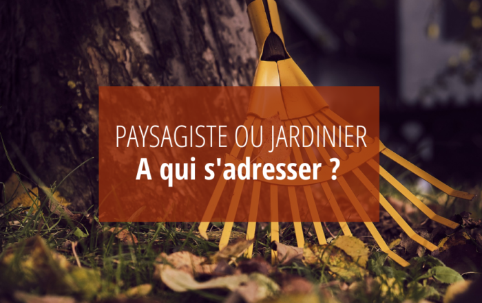 Paysagiste ou Jardinier : à qui s’adresser ?