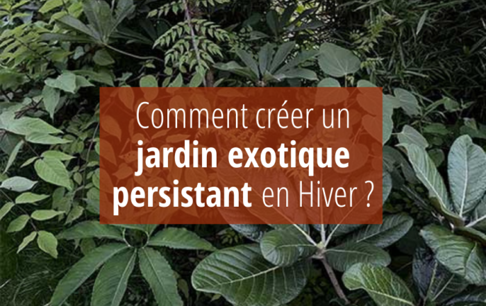 Comment créer un jardin exotique persistant en hiver