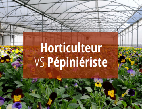 Quelles sont les différences entre un Horticulteur et un Pépiniériste ?