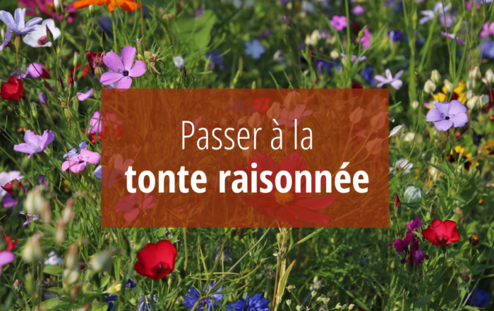 Pratiquer la tonte raisonnée