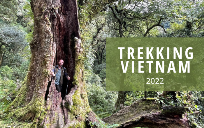 trekking au vietnam 2022