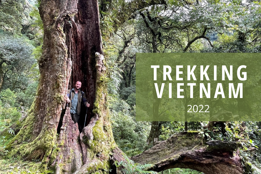 trekking au vietnam 2022