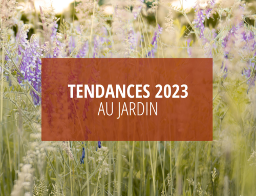 Tendances 2023 au jardin