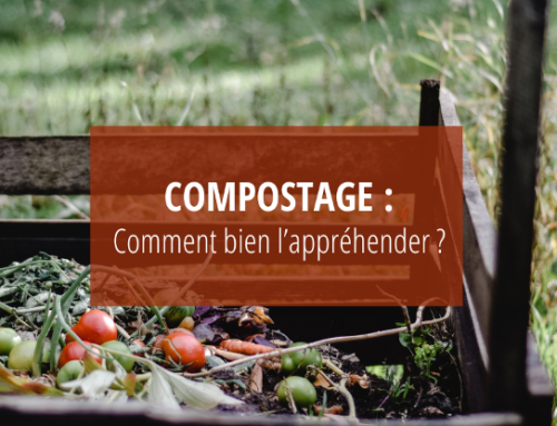 Compostage obligatoire, comment bien l’appréhender.