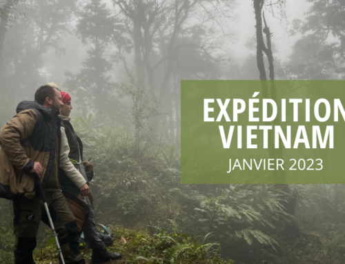 Voyage au Vietnam : Saison 2