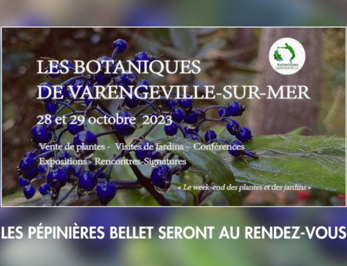 Participation aux Botaniques de Varengeville-sur-Mer 28 et 29 Octobre 2023