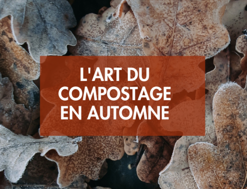L’art du compostage en automne : Comment enrichir votre sol naturellement