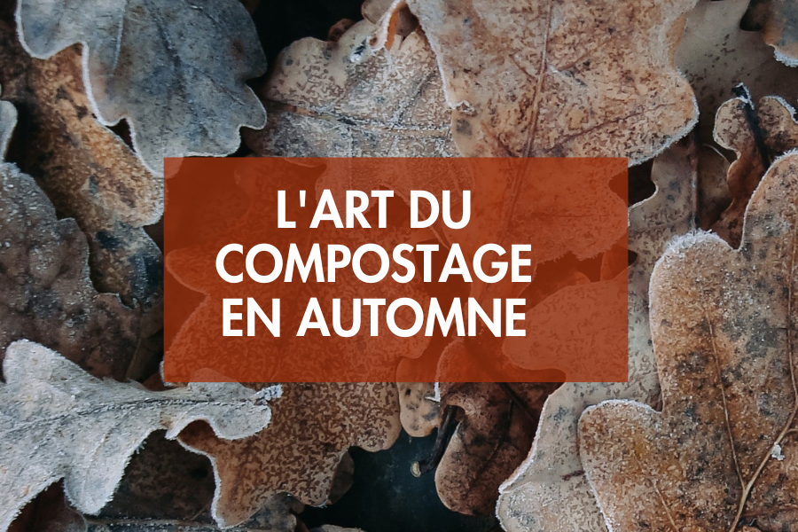 L'art du compostage en automne