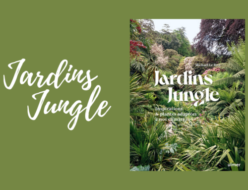 Livre : Jardins Jungle, inspirations & Plantes adaptées à nos climats.