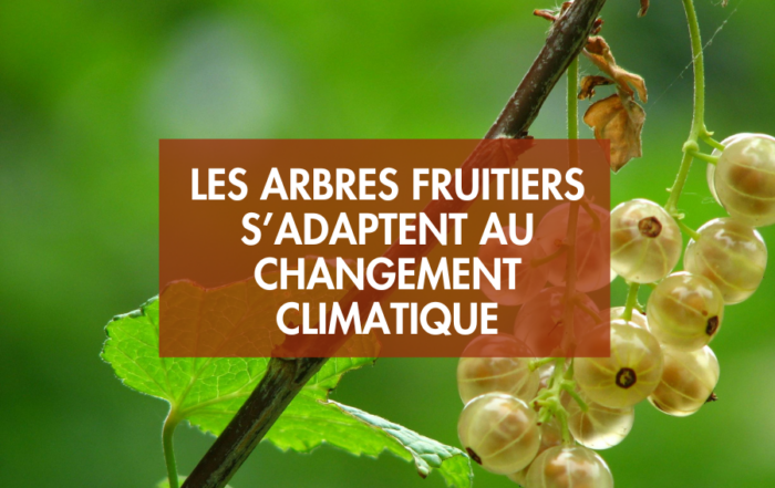 Les arbres fruitiers s'adaptent aux changements climatiques