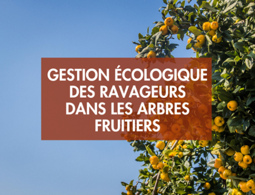 La gestion écologique des ravageurs des arbres fruitiers