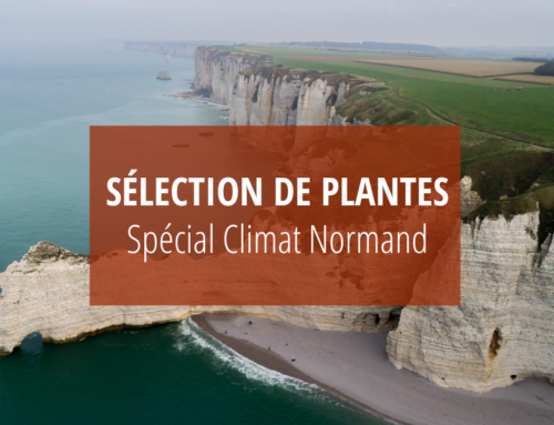 Végétaux dédiés au climat Normand