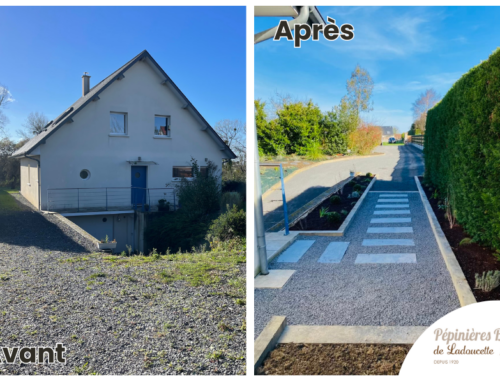 Aménagement extérieur : Rénovation d’un parking et chemin d’accès sur les hauteurs de Dieppe