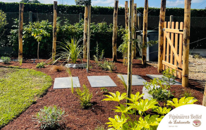 Réalisation jardin longue ville sur scie