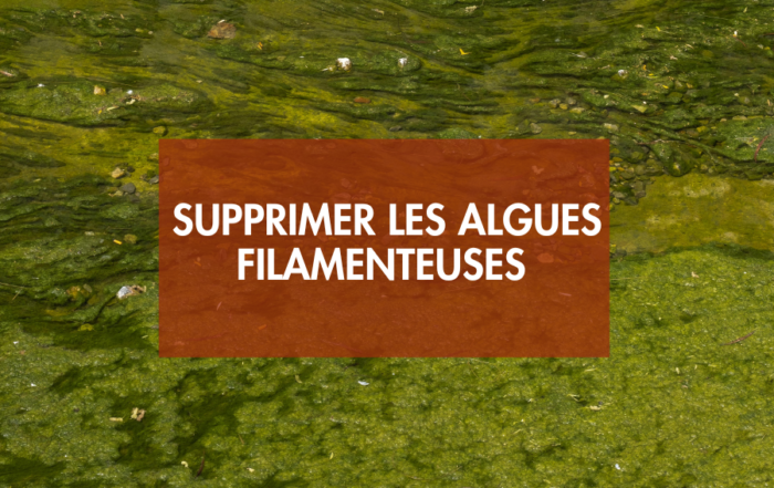 Supprimer les algues filamenteuses de son bassin