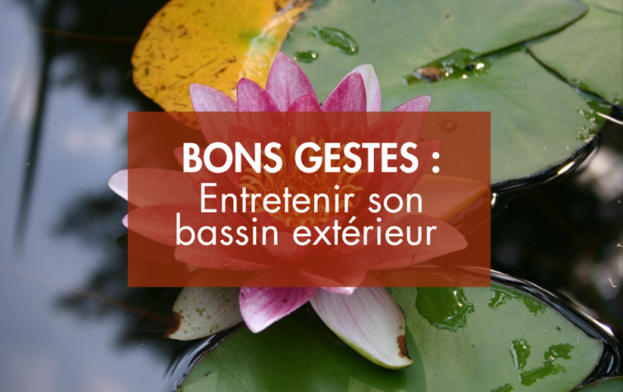 Comment entretenir son bassin extérieur ?