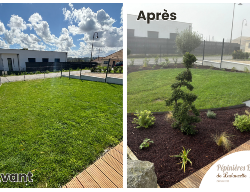 Un jardin méditerranéen au cœur de la Vallée de la Scie