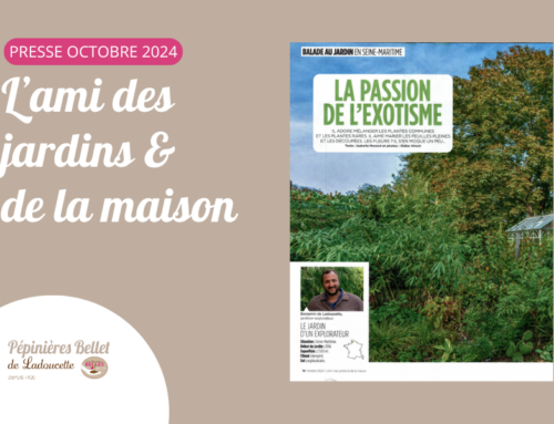 Les Pépinières Bellet dans le magazine « L’ami des jardins et de la maison »