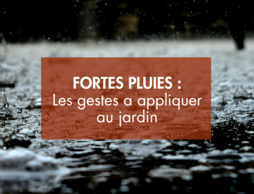 Après une grosse période de pluies : Quels sont les bons gestes à appliquer au jardin ?