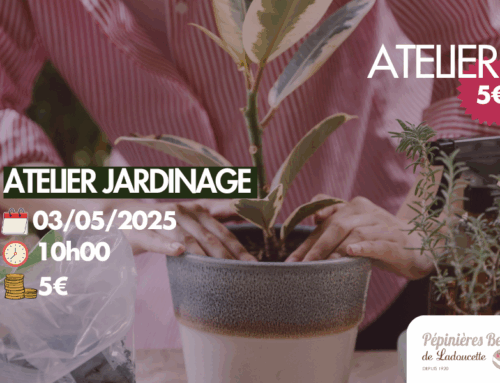 Atelier Jardinage – Samedi 3 Mai