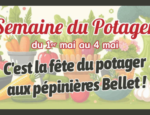 Fête du Travail : Tous au potager avec les Pépinières Bellet !