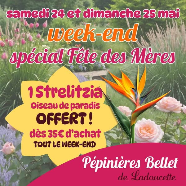 week-end : Fête des mères