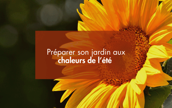 Préparer son jardin aux chaleurs de l'été