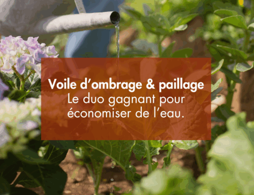 Voile d’ombrage et paillage : le duo gagnant pour économiser l’eau