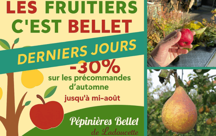 Arbres fruitiers en précommande
