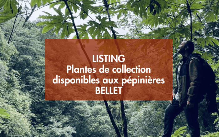 Plantes de collection des Pépinières Bellet