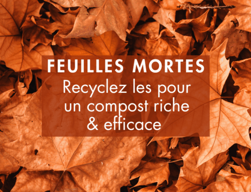 Recycler les feuilles mortes : Astuces pour un compost riche et efficace