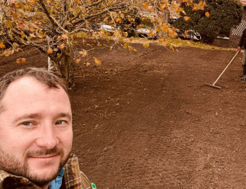 Un gazon parfait signé Bellet : l’expertise qui transforme vos jardins