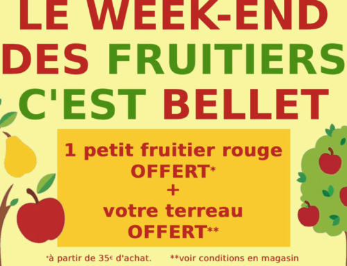 Du 7 au 9 novembre : Le week-end des fruitiers à la pépinière Bellet : redécouvrez les vergers d’antan