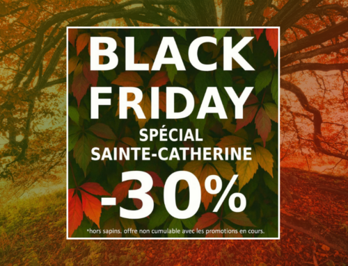 BLACK FRIDAY : –30 % SUR TOUTE LA PÉPINIÈRE