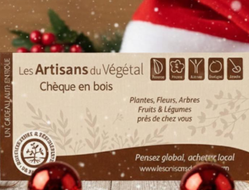 Noël approche : un cadeau en bois et 10 euros offerts à chaque passage en caisse