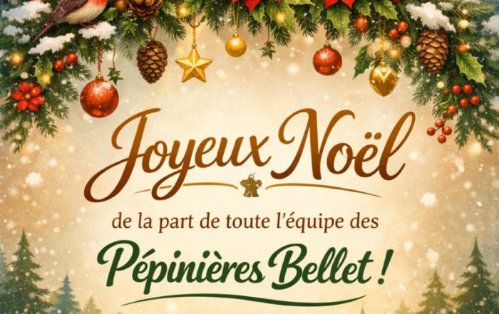 Joyeux Noël 2025