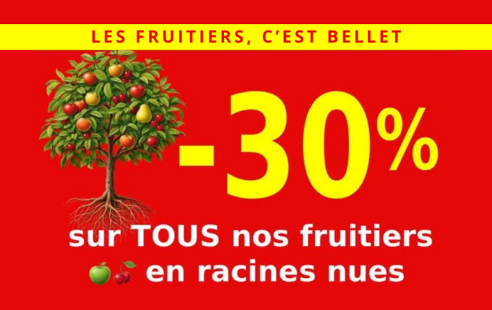 promotion arbres fruitiers