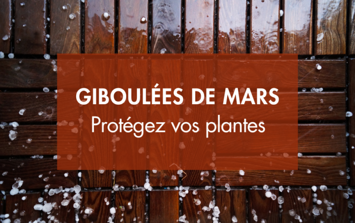 Les giboulées de mars