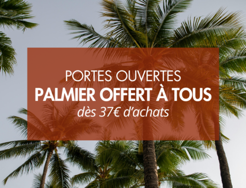 Le 21 & 22 mars portes ouvertes aux Pépinières Bellet