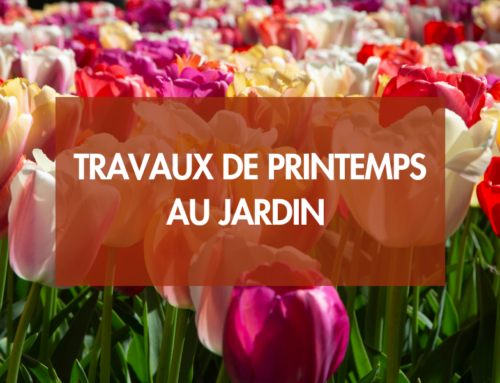 Travaux de printemps au jardin : nos conseils en Seine-Maritime