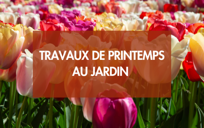 Printemps au jardin