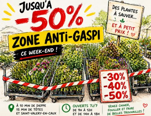 22 au 24 avril 2026 : Zone Anti-gaspi aux pépinières