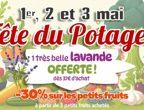 1, 2, 3 Mai : Fête du potager aux Pépinières Bellet
