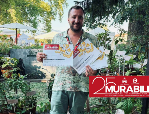 MURABILIA 2026 : Les Pépinières remportent plusieurs prix !